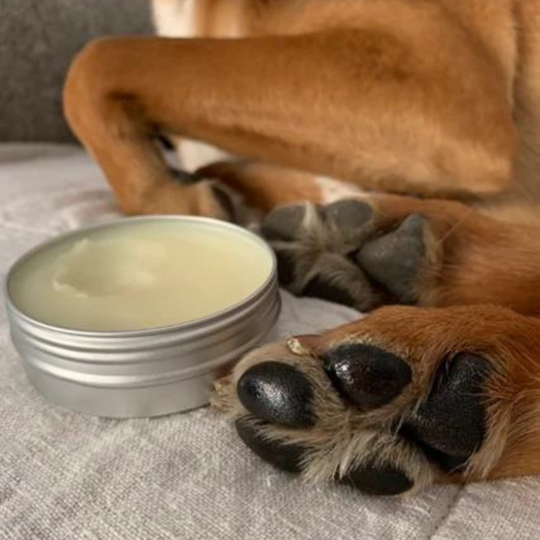 Bedogi™ Paw Balm